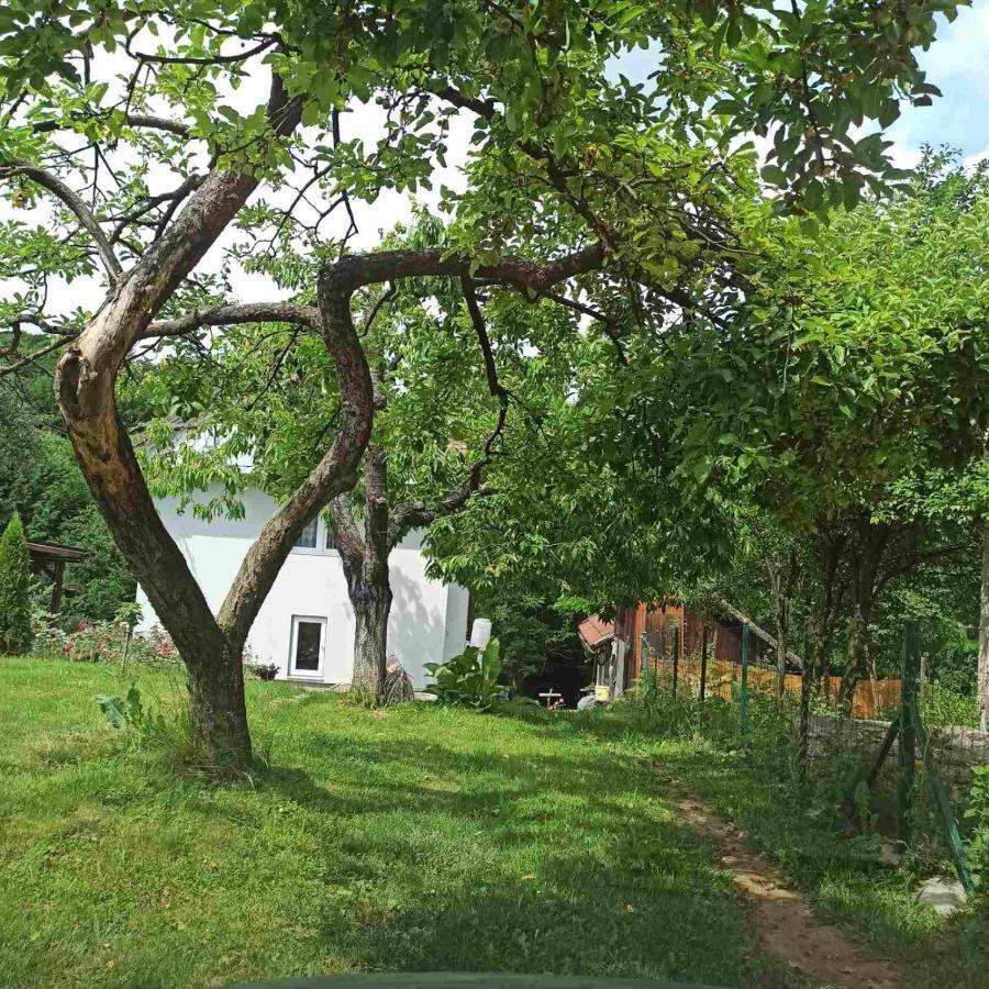 Guest House Bee Visoko Luaran gambar