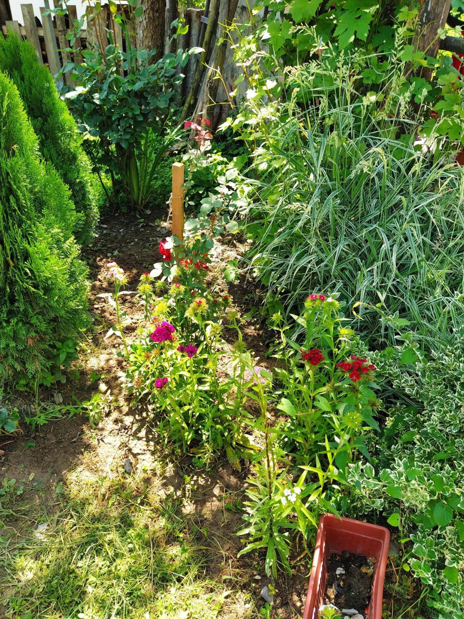 Guest House Bee Visoko Luaran gambar
