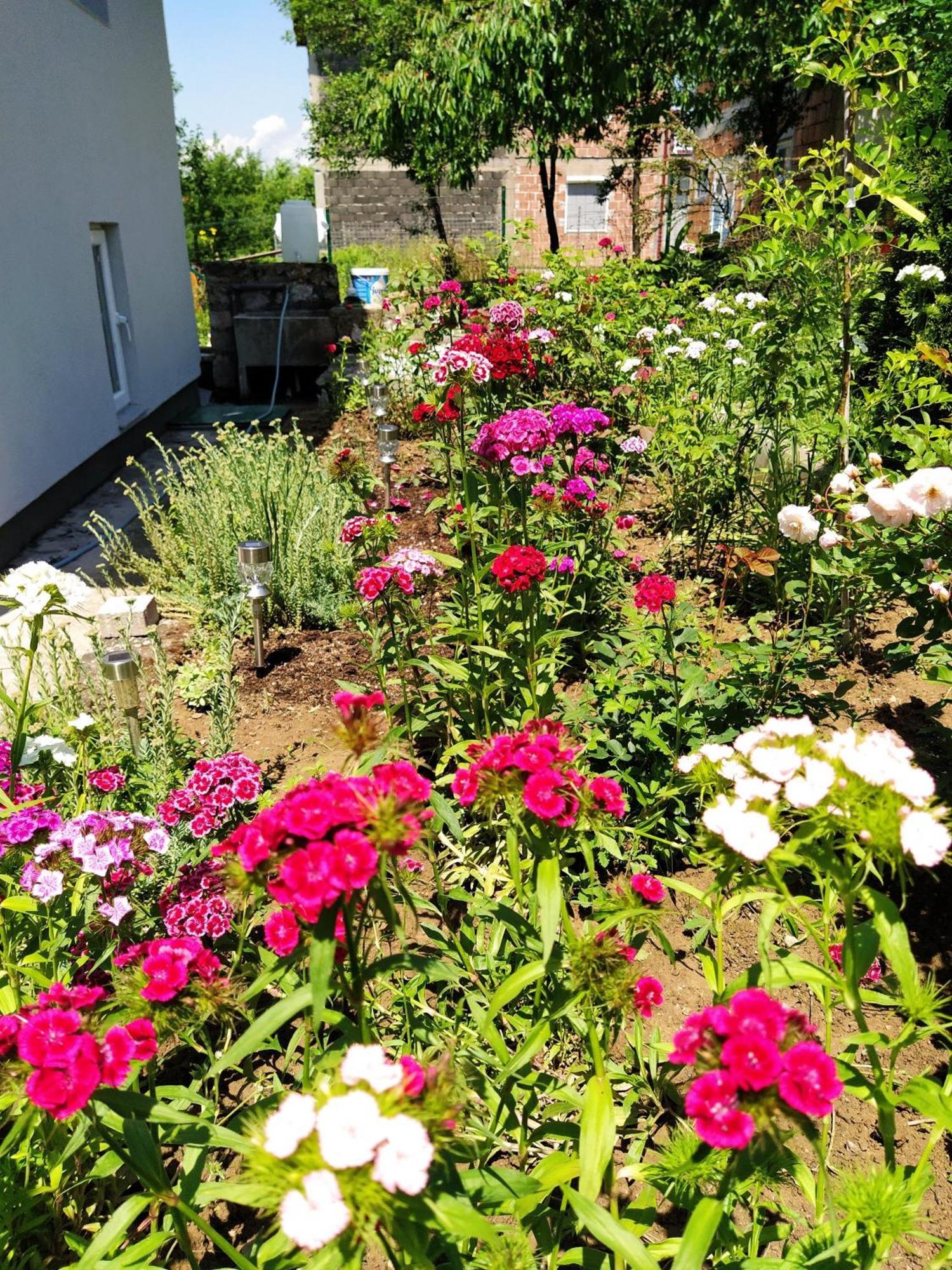 Guest House Bee Visoko Luaran gambar