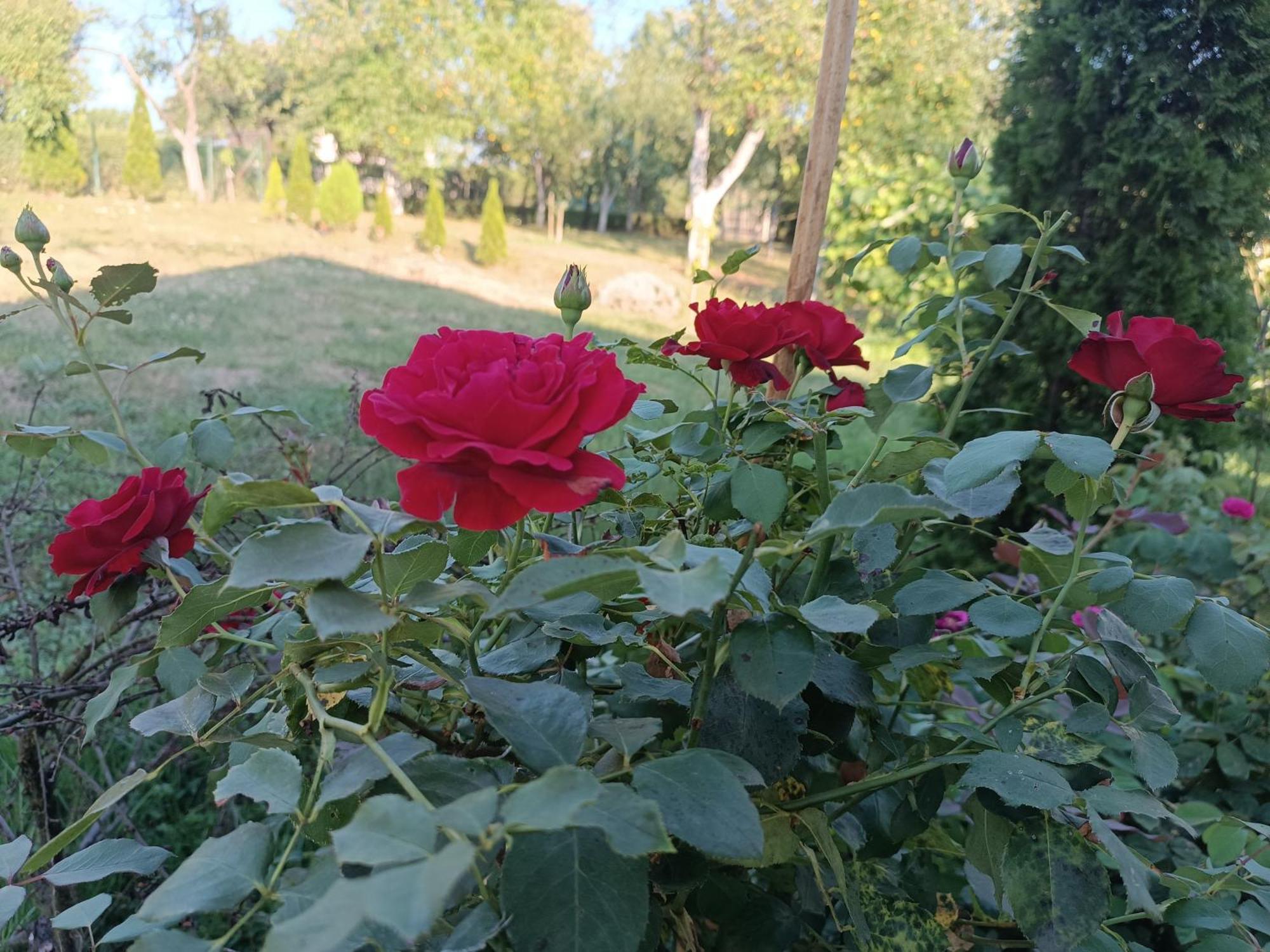 Guest House Bee Visoko Luaran gambar